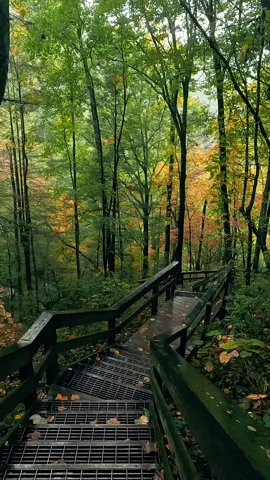 Nature Vibes in Georgia - Cloudland Canyon State Park  - Walking in Nature  #waterfalls #naturevibes #timepass #lostworld #trailspinexplorer  