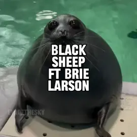 black sheep fr brie larson seal music video  #seal #sealtok #scottpilgrim #blacksheep #brielarson 