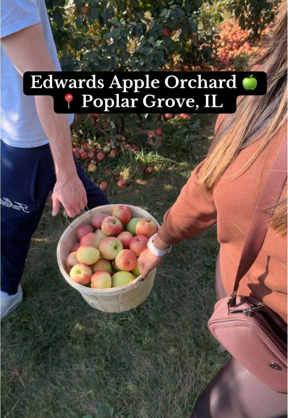The best spot for apple picking, donuts, & so much more! 🫶🏼  #edwardsappleorchard #applepicking #fallfestivities #pumpkinfarm #fyp 