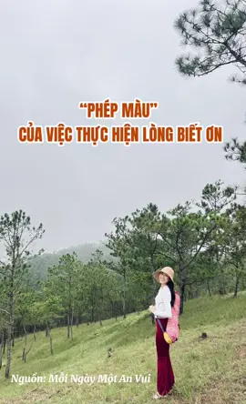 🌿 Mình học được điều quý giá:  Lòng biết ơn không chỉ là cảm xúc, mà là năng lượng của sự thu hút. Khi ta biết ơn, ta đang gửi đi tín hiệu rằng mình đang sống trong sự đủ đầy. Bằng cách nào đó, vũ trụ sẽ gửi đến ta nhiều điều đáng biết ơn hơn nữa Đó chính là cốt lõi của luật Hấp Dẫn, ta sẽ không thu hút sự thịnh vượng nếu trong lòng luôn nghĩ rằng mình thiếu thốn. Người càng biết ơn, càng hạnh phúc.Bởi vì biết ơn giúp ta nhìn thấy điều đẹp nhất để trong cả những điều bình thường nhất  Bạn hãy thử bắt đầu mỗi ngày bằng 3 biết ơn, Bạn sẽ thấy phép màu🥰 #yoga  #linhanyoga #bieton #phepmau #hanhphuc 