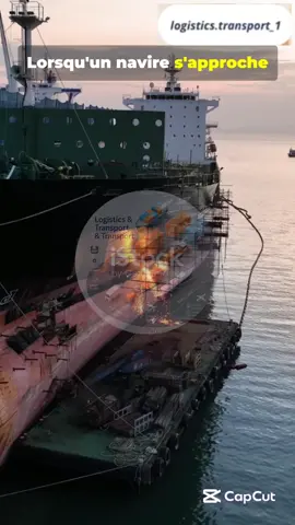 🚢 Tu t’es déjà demandé ce qu’un navire doit faire avant de débarquer sa marchandise ? 😮 Découvre toutes les étapes de l’arraisonnement — du contrôle à l’autorisation finale d’accoster ! ⚓ À onne toi pour plus de vidéos sur le monde maritime et la logistique internationale 🌍📦.  #Douane #TransportMaritime #fyppppppppppppppppppppppp #viral #supplychain 