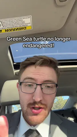Hell yeah #foryou #nature #turtle #awesome #tabergrose 