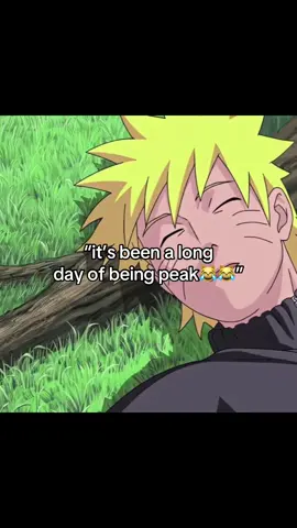 midadan catchng strays 😹😹#fyp #anitok #xycba #anime #goku 