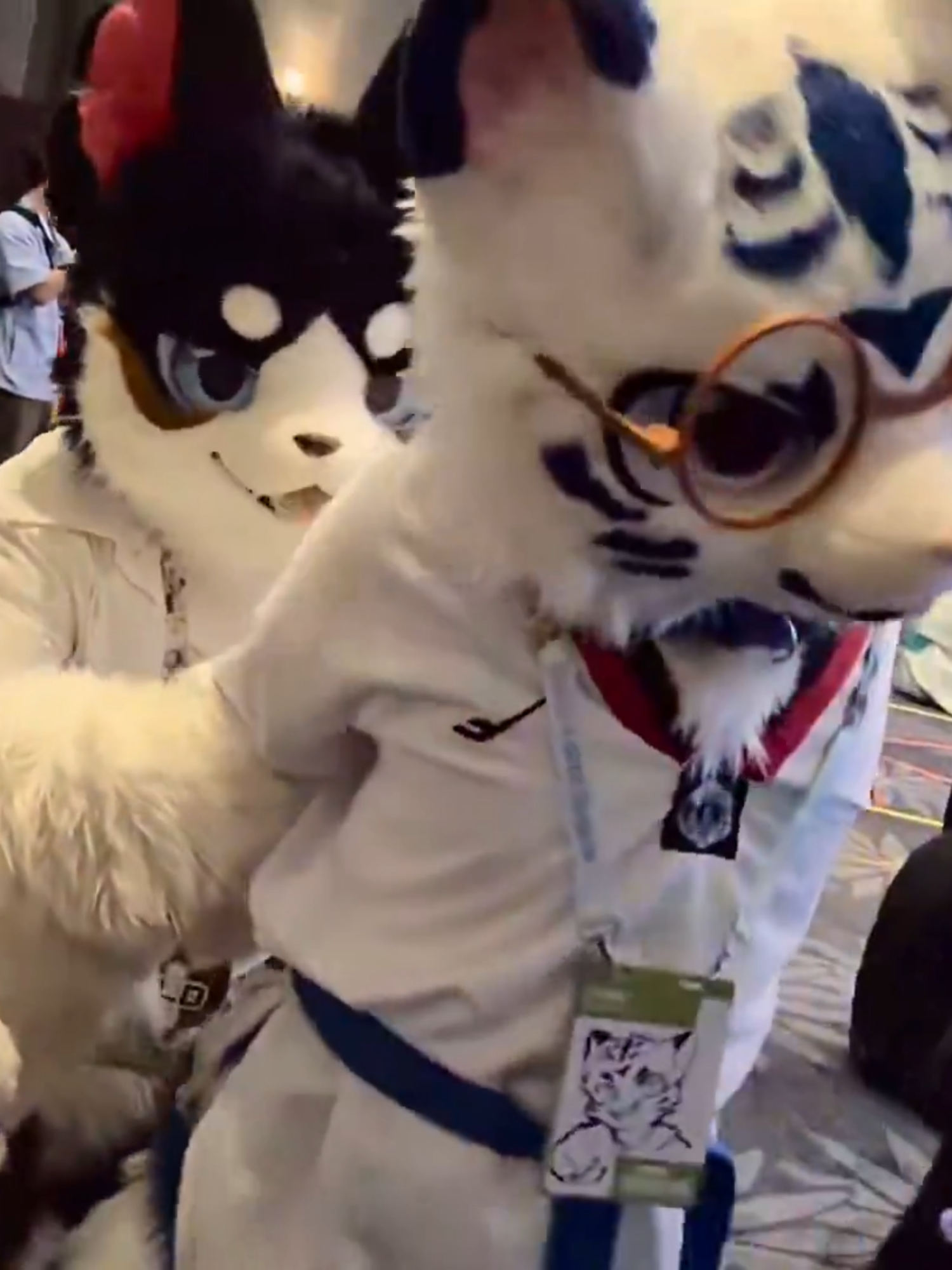 The orc pet dog is in heat and holds the cat that is struggling to run away. The orc pet plays games and does not let go.宠物狗兽人发情抱着挣扎想跑的猫咪兽人宠物玩游戏不松手#clothes #cat #satisfyingvideo #toy #funny #cute #ornaments #dog #creative #pet #foryourpage #fyp #tiktok #tiktokmademebuyit #viral #laugh #gamermac #teamwork #skibidi #furrytiktok