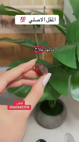 #المقل #الخوا #الشعب_الصيني_ماله_حل😂😂 #اكسبلورexplore #الرياض_جده_مكه_الدمام_المدينه 