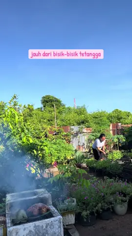 Nikmati hidup, jauh dari kebisingan #kebunmini #kebunbelakangrumah