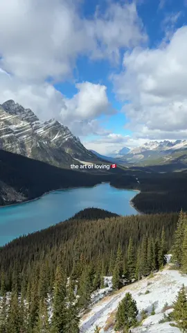 💌 love letter to Canada 🇨🇦 #peytolake #alberta #banffnationalpark #canada🇨🇦 #nationalpark 