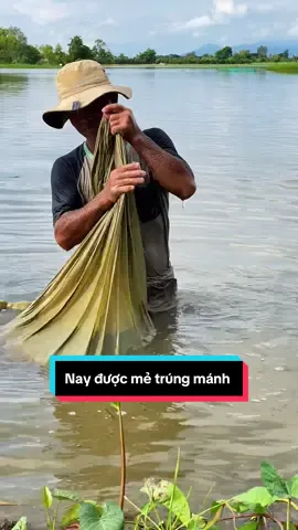 Hôm nay đổ ra thiệt nha mọi người! Nay trúng mùa quá mọi người ơi 😎😎😎#TikTokAwardsVN #cuocsonghangngay #fyp #Quehuongangiang #QUANBO 