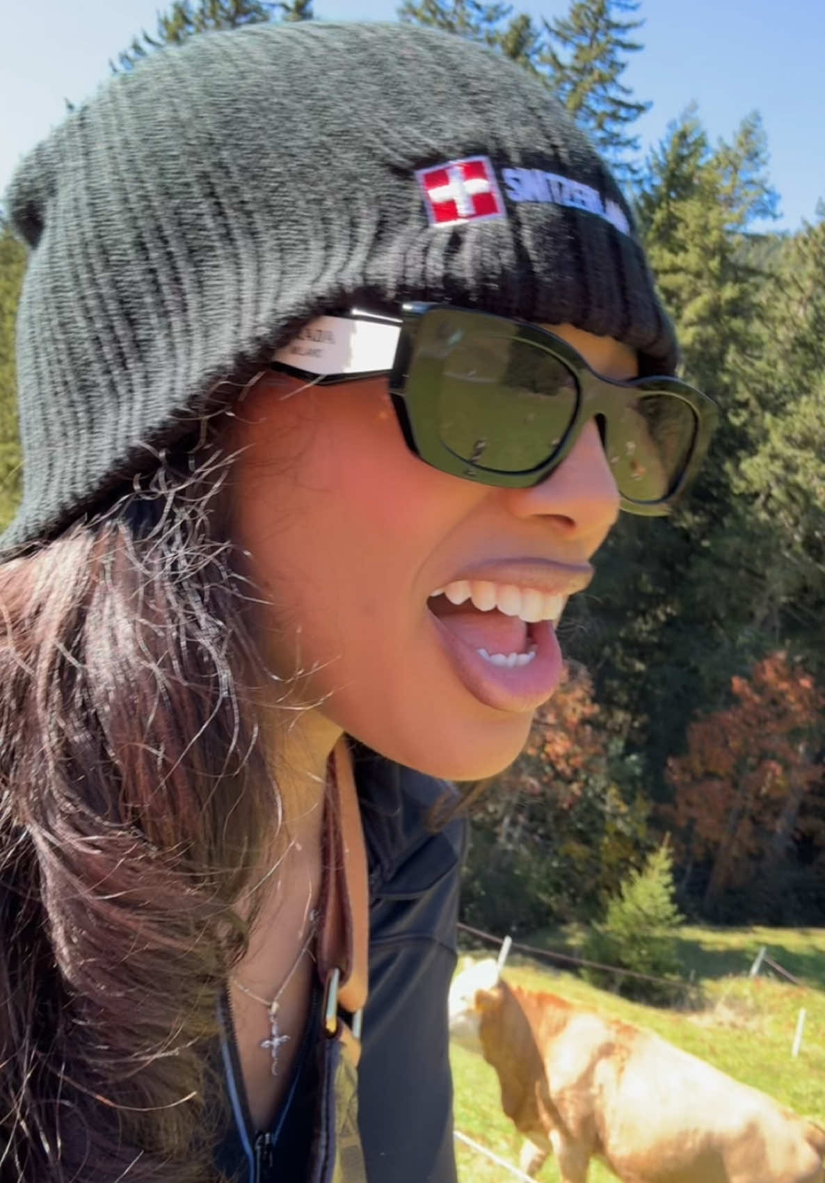 Omg it would be Swiss Cheese lol 