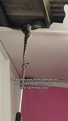 9 medidas que tomei para evitar que uma cobra como essa entre na minha casa ! #seguranca #sozinha #defesapessoal #viralvideos 