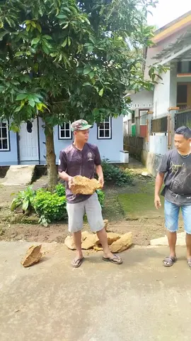 kerjasama itu penting #videoviral #videofyp #videolucu 