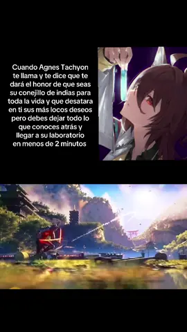 Autorizo a Agnes Tachyon a controlar mi cuerpo #umamusume #umamusumeprettyderby #agnestachyon #fyp #anime 