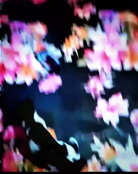 #আমার_রোমান্টিক_বিড়াল😩😫😣💖🐈🐱🐈🐱😪😪😪 #rakib3d5 #Naruto🌀 #☯naruto☯ #❤️❤️❤️❤️❤️❤️ @For You @TikTok @TikTok Shop Creator @TikTok Shop by Tokopedia 