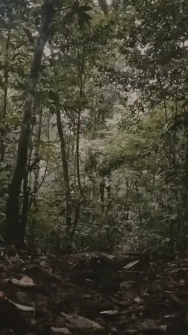 pos kalo gabut langsung solo hiking