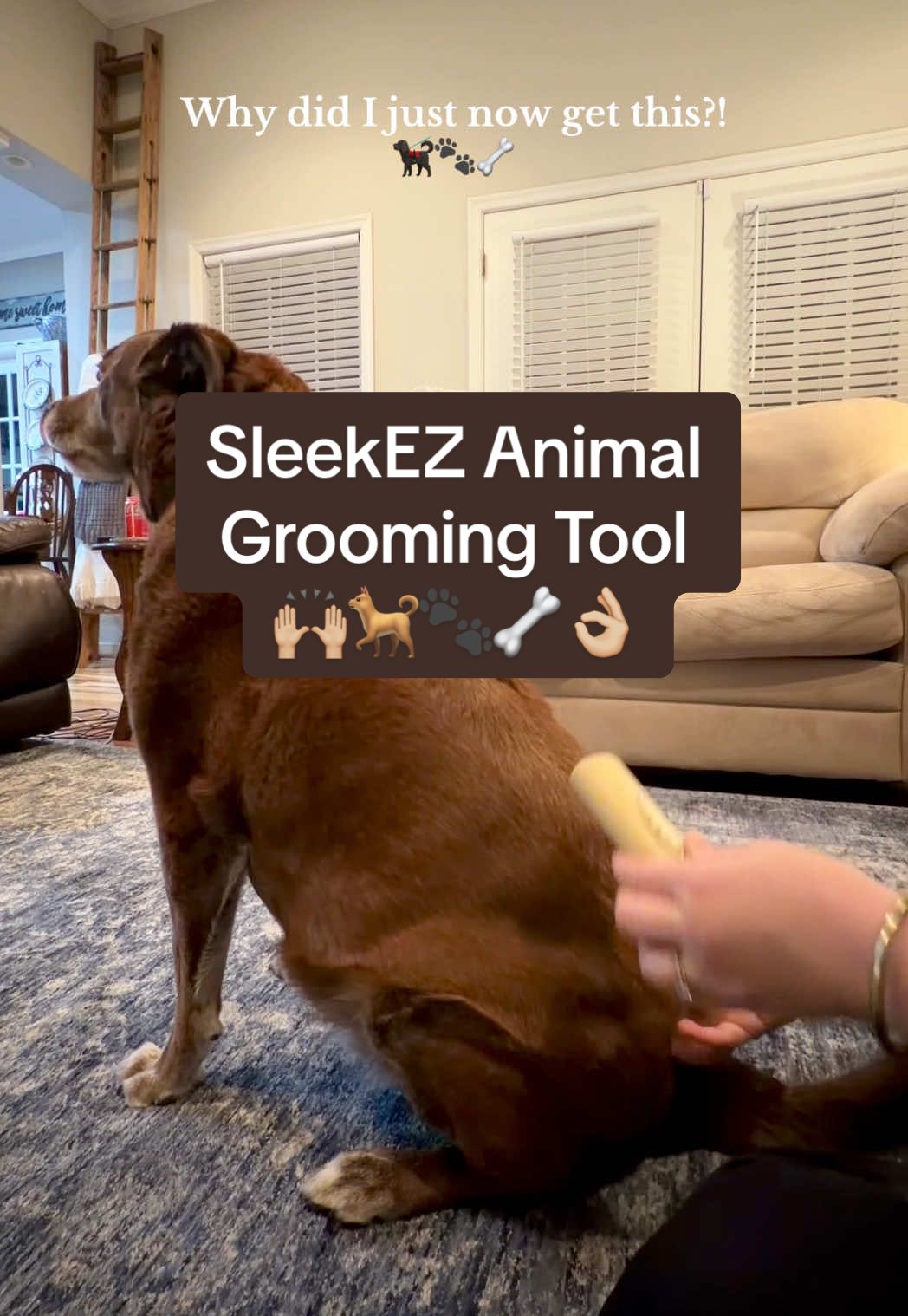 GAME CHANGER for Dog Grooming!! This dog would not sit still for a brush before this. Thank you @SleekEZ USA for a product that is effective & doesn’t bother my pup 🥰 #doggrooming #sleekez #sheddingdog #dogsoftiktok 