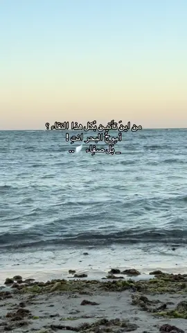 ❣️❣️. #ترند_الاسم_صفاء #بدون_هشتاق 