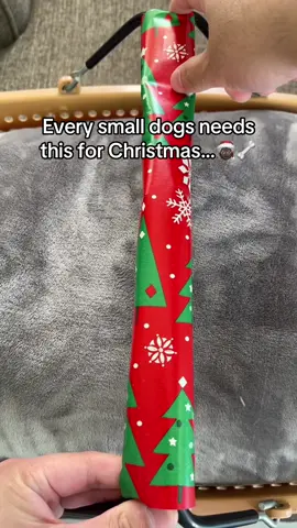 The perfect Christmas doggie gift!❤️😊 #tiktokmademebuyit #toastyhoody #doglover #dogs 