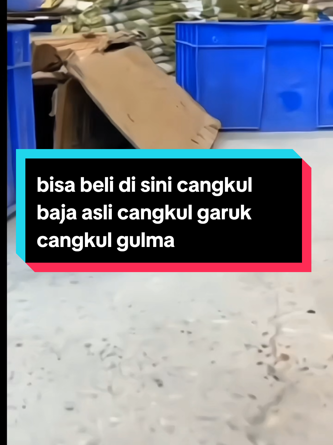 Membalas @hasibuanbuan0 cangkul baja asli#cangkul #alatpertanian #petaniindonesia #petanimuda #cangkulrumput 