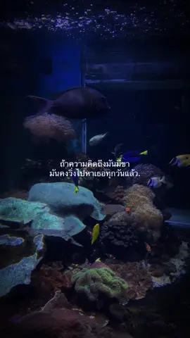 🫣🐶#fyp #สตอรี่ #แท็กคนที่คุณอยากบอก 