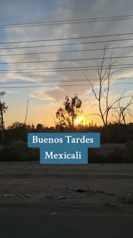 Buenos Tardes! #mexicali #rancholife #islasagrarias #sunset #mexico