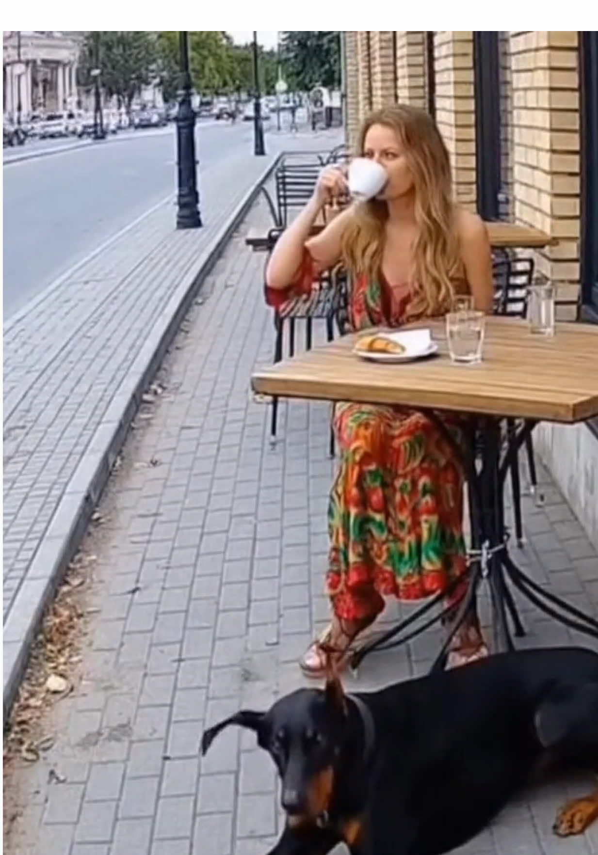 UNBELIEVABLE! Dog Moments You Won’t Believe!❤️