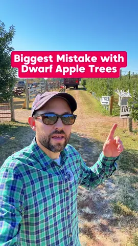 🍎 What kind of apples are YOU growing? 🍏👇 Most people don’t realize that grafted trees have a rootstock that plays a huge role in how they grow! 🌳 Dwarf apple trees are actually two trees in one with the scion on top and the rootstock below. That small root system keeps them compact but also means they need SUPPORT or they’ll topple once the fruit comes in! 💪🍎 Big shoutout to Windy Hill Orchard and Cider Mill for showing how it’s done right with their beautiful trellised apple trees! 🙌🍏 #appletrees #plants #orchard #TikTokLearningCampaign #fruittrees 