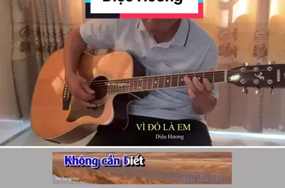 Vì đó là em #xuhuong #taolaoguitar #guitarkhongloi #virral #nhackhongloi 