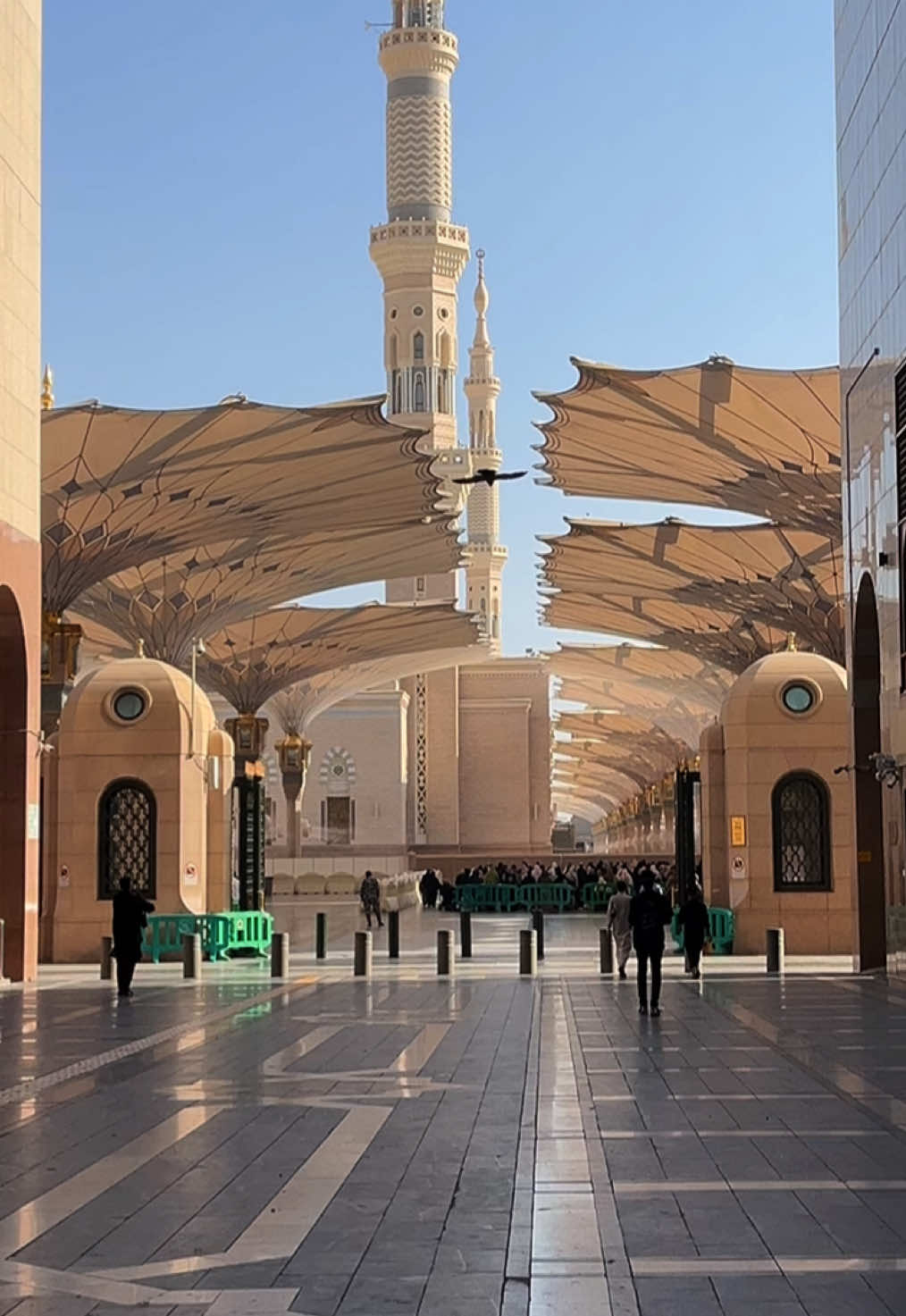 #المسجد_النبوي #المدينة 