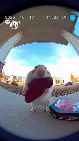 🤣 #mukbangeatingshow #mukbangvideo #mukbang #ancungtiktok #thanhantrungquoc 