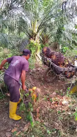 efek belum sarapan ini mah #ngakak  #lucu  #kocak  #fyppppppppp 