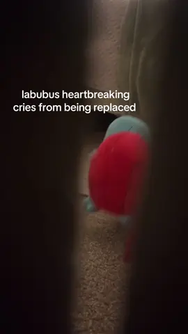 #labubureplacements