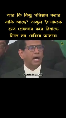 আর কি কিছু পরিষ্কার করার বাকি আছে? তাজুল ইসলামকে দ্রুত গ্রেফতার করে রিমান্ডে নিলে সব বেরিয়ে আসবে।