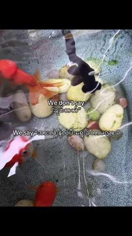 🫶💞#fpyシ #foryou #foryoupage 