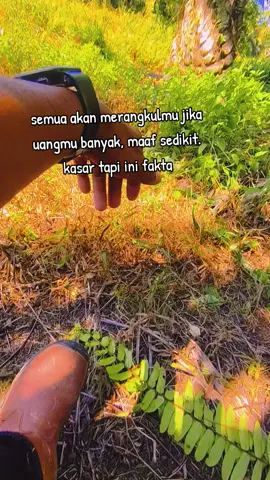 perantau#sawitkalimantantimur 