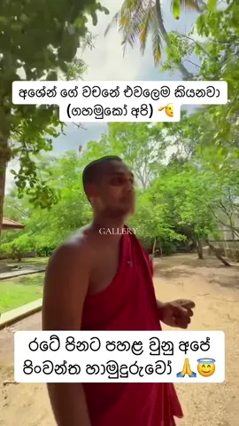 @ashensrilanka #kathnoruwesiridamma 🙏 #GALLERYසමගලෝකයවටා🌍 #viralvideos #millionaire #viralvideos 