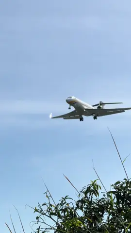 Chuyên cơ hạng sang của ai ghé Phú Quốc sáng nay #capcut #fyp #foryou #tiktok #trending 