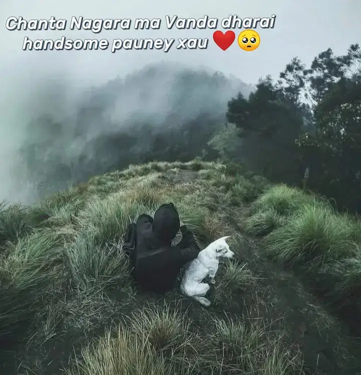 ma Vanda dharai nai handsome pauney xau ❤️🥹