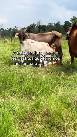 Si te gustó dale ❤️👈#compartanporfavor😓😰💫💘 