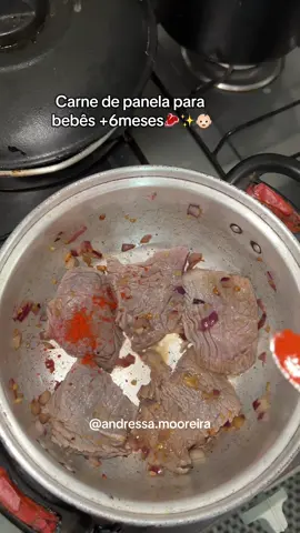 Carne de panela para bebês +6 meses🥩 #foryou #introducaoalimentar #maedeprimeiraviagem #videoviral 