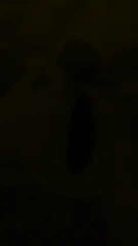 #CapCut #ချစ်သောရေ#အနားမှာရှိတုန်းတန်ဖိုးထားပါ😌😌😌 #မင်းကိုပျော်ရွှင်စေချင်တာပါ🥰🥰🥰 #bae 