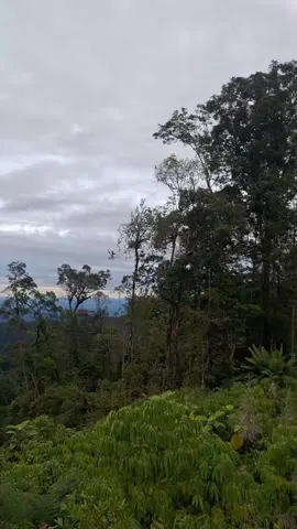 part 2.. #beutong #dusta #nagan #fyp #aceh 