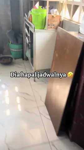 #promoseruweekend #fypシ゚viral 