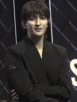 #dk #seventeen 