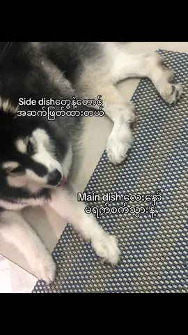 Br nyrrW#foryoupage #fyppp #foryoupageofficiall #foryou #fyp 