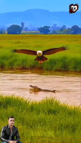 #শুভসকাল #SK #আল্লাহ_ভরসা❤️ #হেআল্লাহ_আপনি_আমাদের_ক্ষমা_করে_দিন #bnp❤️❤️❤️🌾🌾🌾🇧🇩🇧🇩 