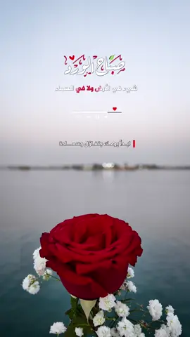 بسم الله الذي لا يضر مع اسمه شيء في الأرض ولا في السماء وهو السميع العليم… #صباح_الخير #صباح #صباح_الورد #دعاء 