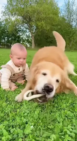The dog protects its little master#funny #cute #prank#baby #dog 