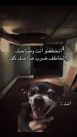 😂😂😂😂#fyp #fyppppppppppppppppppppppp #fypシ゚ #الشعب_الصيني_ماله_حل😂😂 #ضحك 