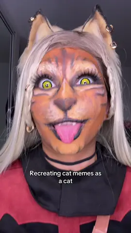 Khajiit has memes if you have coin #bbno #catsoftiktok #catmeme #skyrim #halloween 