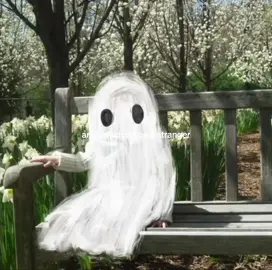 my comfort song #scottstreet #phoebebridgers #anywaydontbeastranger #fyp